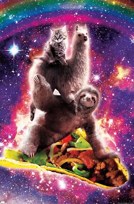James Booker - Space Sloth Llama Cat Riding Taco - Poster