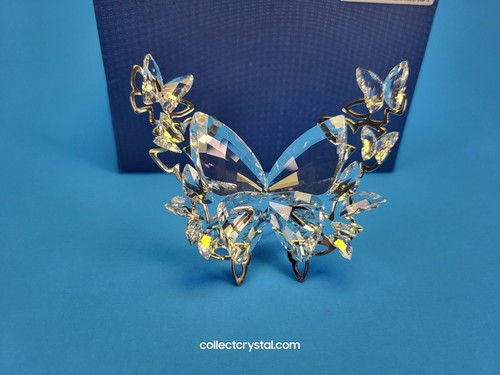 Swarovski Brilliant Aurora Borealis AB Butterfly Figurine 5031512 MIB Complete - Picture 3 of 11