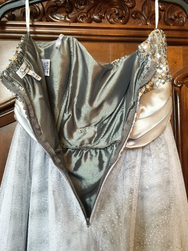 Speechless Silver Sequin Long Flowing Prom Formal Homecoming Dress Empire Size 9 - 第 11/12 張圖片