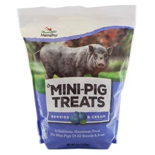 Manna Pro Mini-Pig Treats Berries & Cream Flavor For All Breeds & Ages, 4 lb