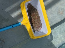 Heavy Duty Pool Skimmer Net Deep Leaf Rake Mesh Frame Inground Above Ground