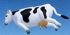 Cow Line Laundry Kite 3m Soft Inflatable Kite 30D Ripstop Nylon Fabric with Bag