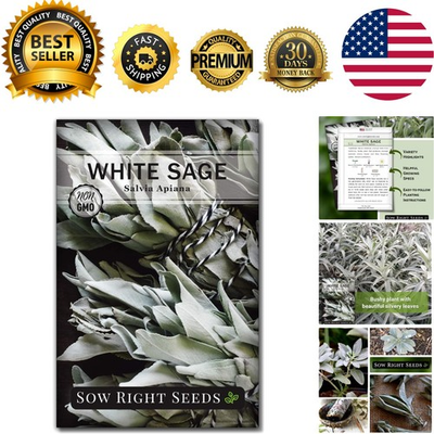 #ad Fragrant White Sage Seeds Easy to Grow Home Herb Garden for Indoor Outdoor Use $9.99