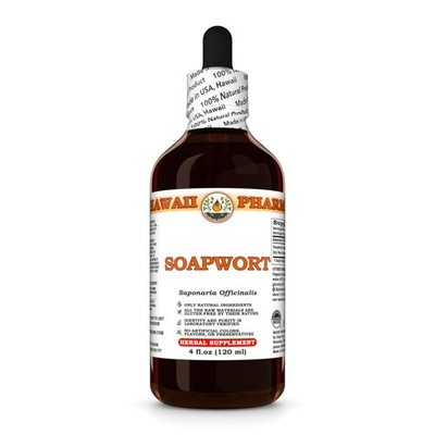 Soapwort (Saponaria Officinalis) Tincture, Dried Root Liquid Extract