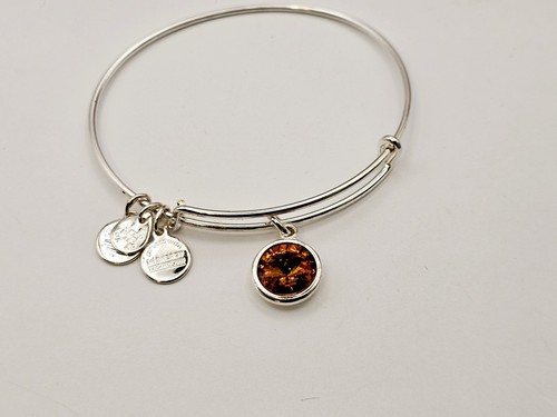 Alex Ani November Birthstone Swarovski Charm Bangle Topaz Bracelet Silver ✨️ - 第 6/13 張圖片