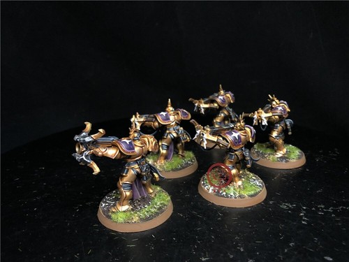 Warhammer AOS DPS painted Stormcast Eternals Judicators SK3571 - Picture 3 of 7