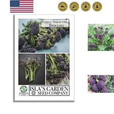Purple Sprouting Broccoli Seeds, 500 Heirloom Seeds Per Packet, , Non GMO Se...