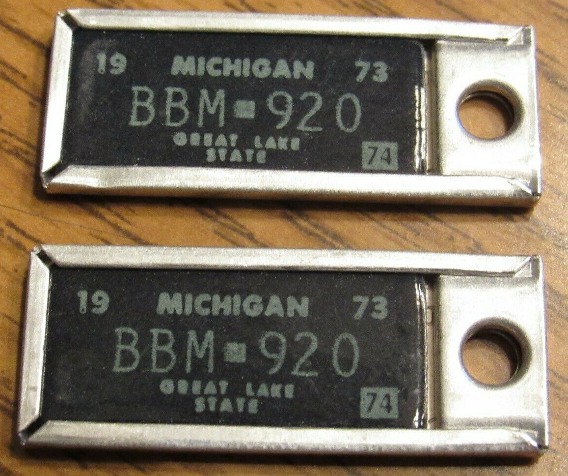 Pair 1973 1974 Michigan DAV License Plate Keychains MI BBM920 eBay