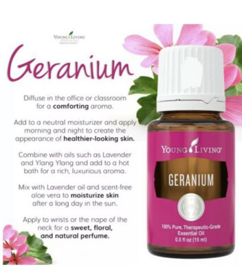  PROMO Young Living Geranie 15 ml ätherisches Öl KOSTENLOSE UK-LIEFERUNG