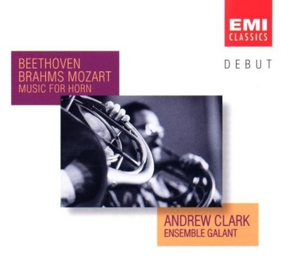 Clark A. / Montgomery R. / Govier G. / Ensemble Ga Music for Horn (Clark, e (CD)