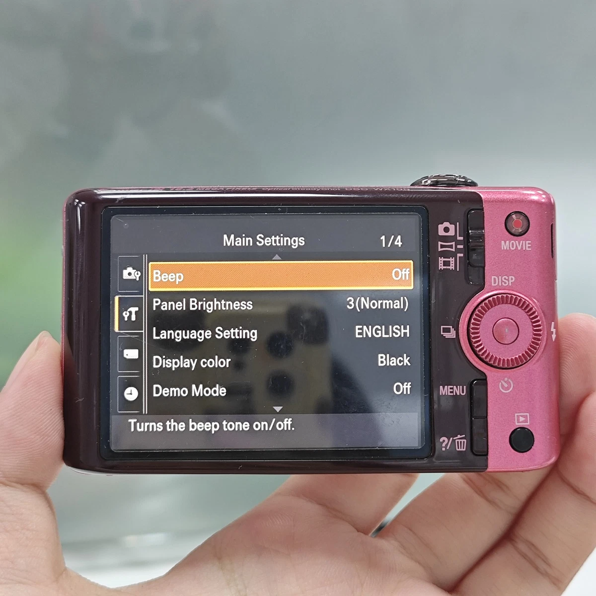 SONY Cyber Shot DSC-WX100 Digital Camera 18.2MP 10xOptical Zoom