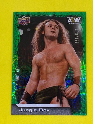 Jungle Boy AEW Upper Deck 2022 Green Pyro Parallel Numbered Wrestling Card /399
