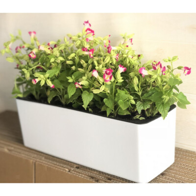 2pcs Blumentopf/Pflanztopf Kunststoff, Blumenkasten fr Fensterbank,  rechteckig | eBay.de