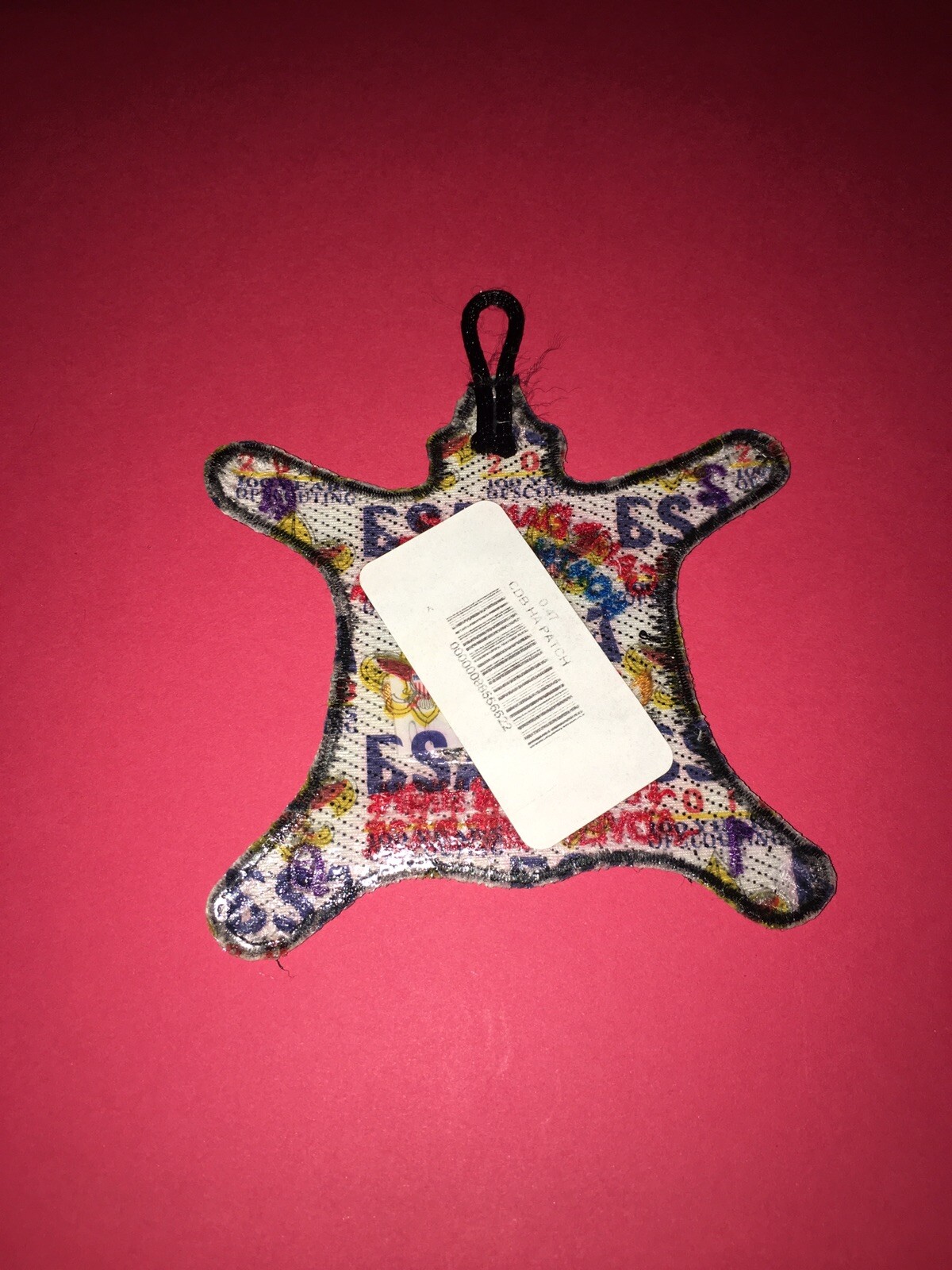 Boy Scouts 2008 Camp Daniel Boone, NC Harrison High Adventure Base