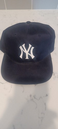 twins enterprise yankees hat