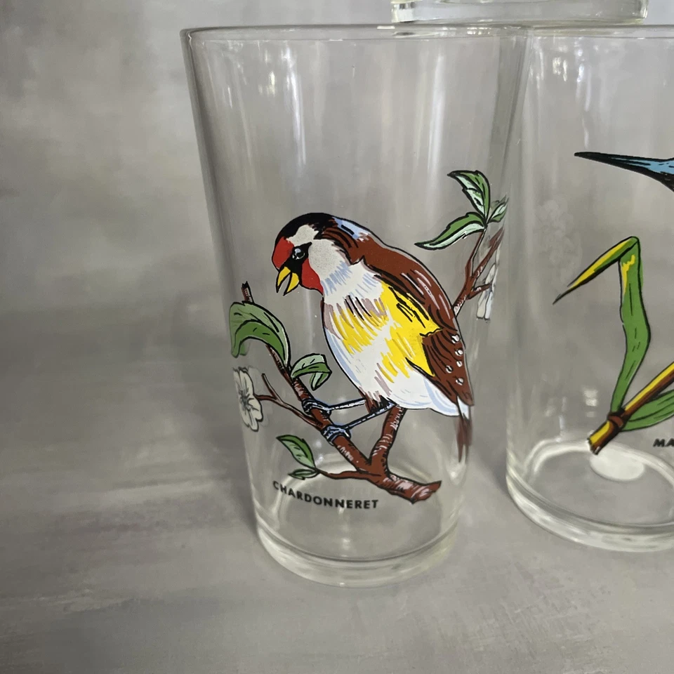 5 verre VMC Reims à décor d'oiseaux dt mésange troglodyte martin pécheur pic etc - Photo 4/4