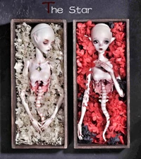 BJD Doll SD ( two head + one body)  Girl Female Resin Toys Gift White Skin