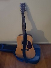 Burswood Acoustic Guitar Jw-41f With Case 