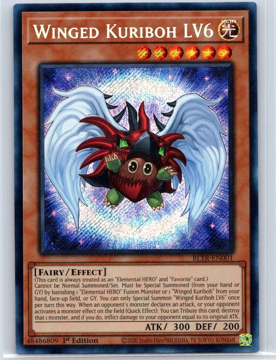 25+ Winged Kuriboh Yu-Gi-Oh! TCG Individual Trading Card Games for