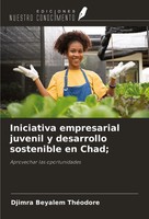 Iniciativa Empresarial Juvenil Y Desarrollo Sostenible En Chad; ThéOdore Buch
