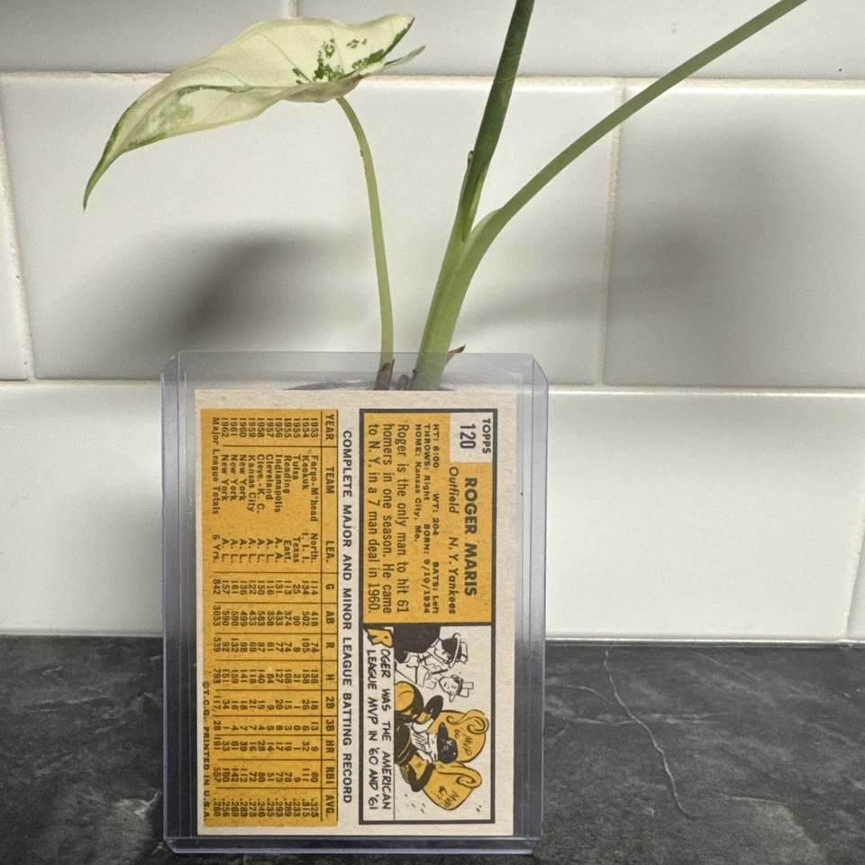 1963 Topps - Roger Maris #120 - Image 2 of 2