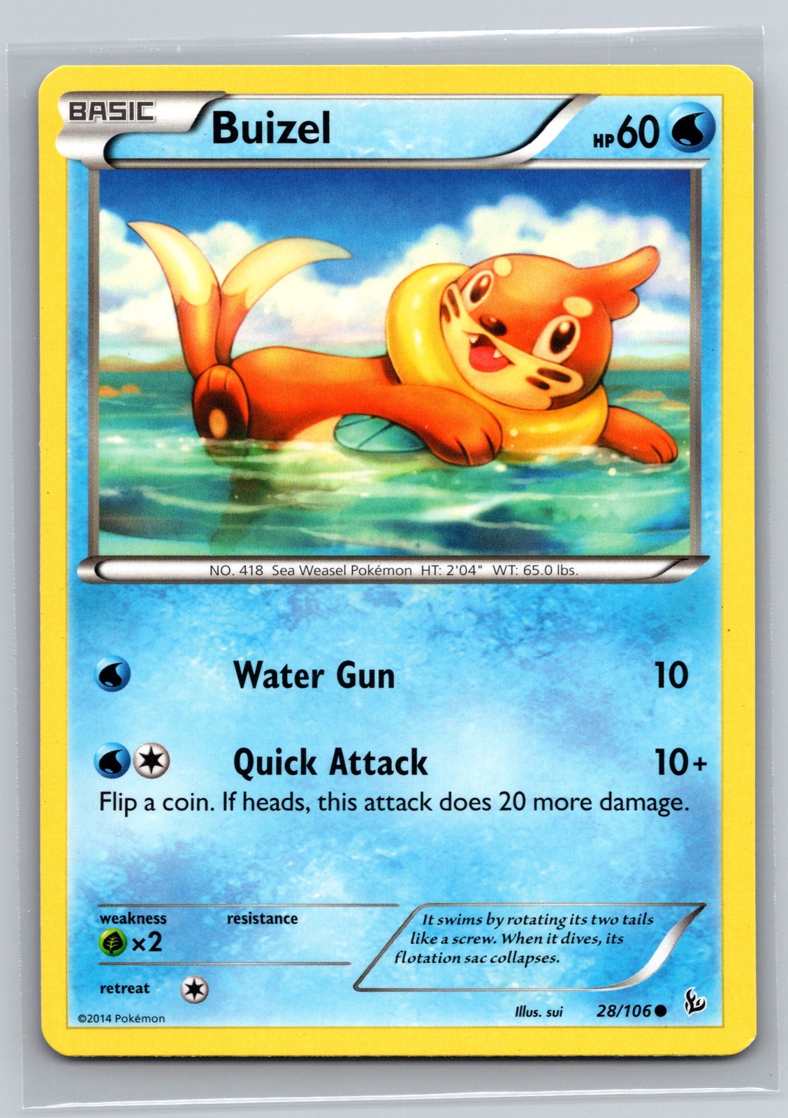 Buizel 28/106 XY Flashfire Pokemon Card Water Type Basic Quick Attack Weasel