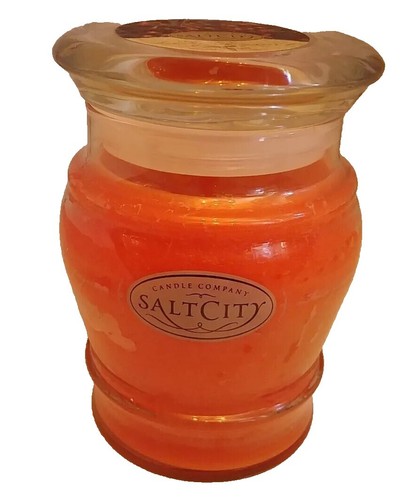 BRAND NEW SEALED Diptyque PEKIN City Candle 190g City Candle HTF