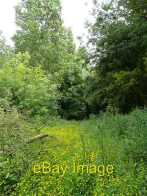 Photo 6x4 Towards Three Shire Oak Kilvington A few yards further into Nor c2008