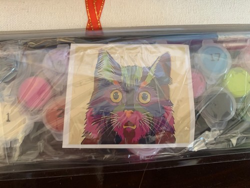 Winsang Dipinto con Numeri Dipinto ad Olio per Bambini e Adulti 14X18 Pollici - Foto 2 di 2