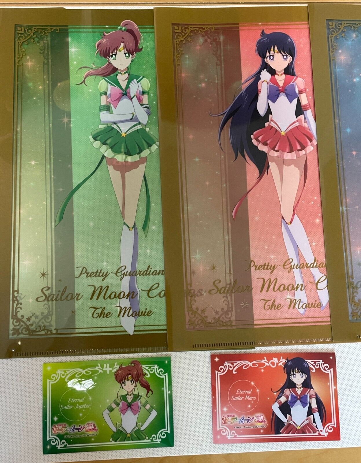 Sailor Moon A5 Clear Pocket - Cosmos - Moon