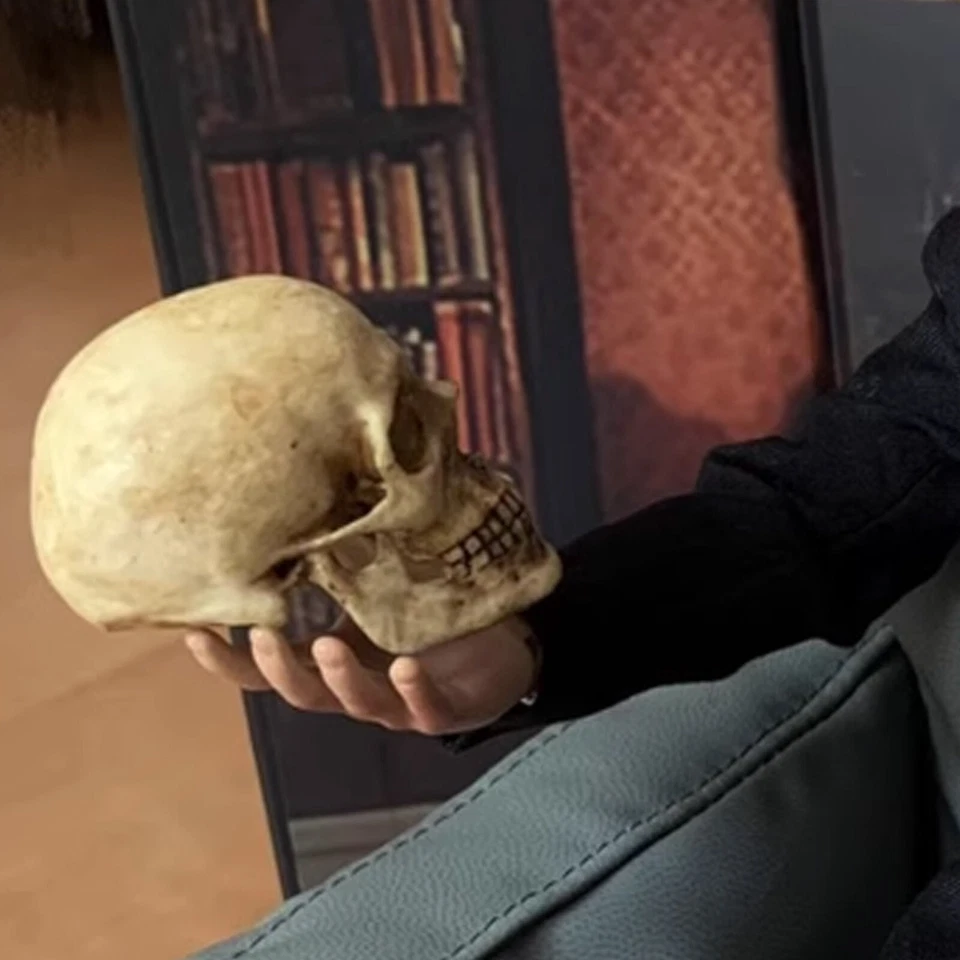 Modelo PVC Esqueleto Calavera Humana Escala 1/6 para Figura de Acción 12" Accesorios Piezas Foto 4 de 4