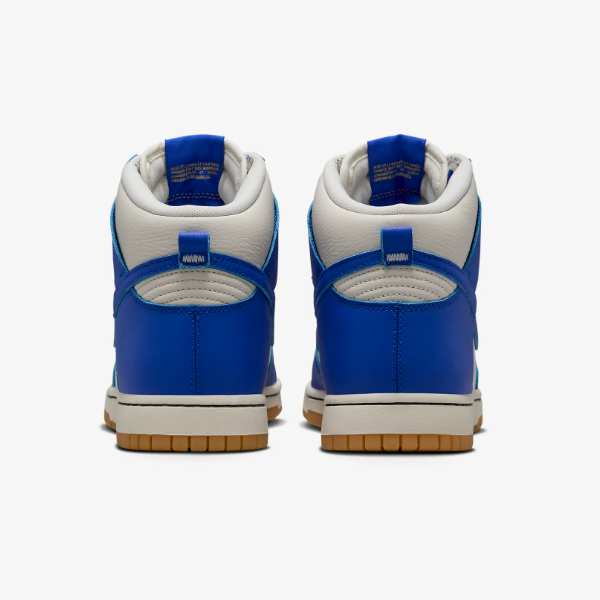 Nike Dunk High Retro SE Shoes 'Phantom/Racer Blue' (FV6612-001