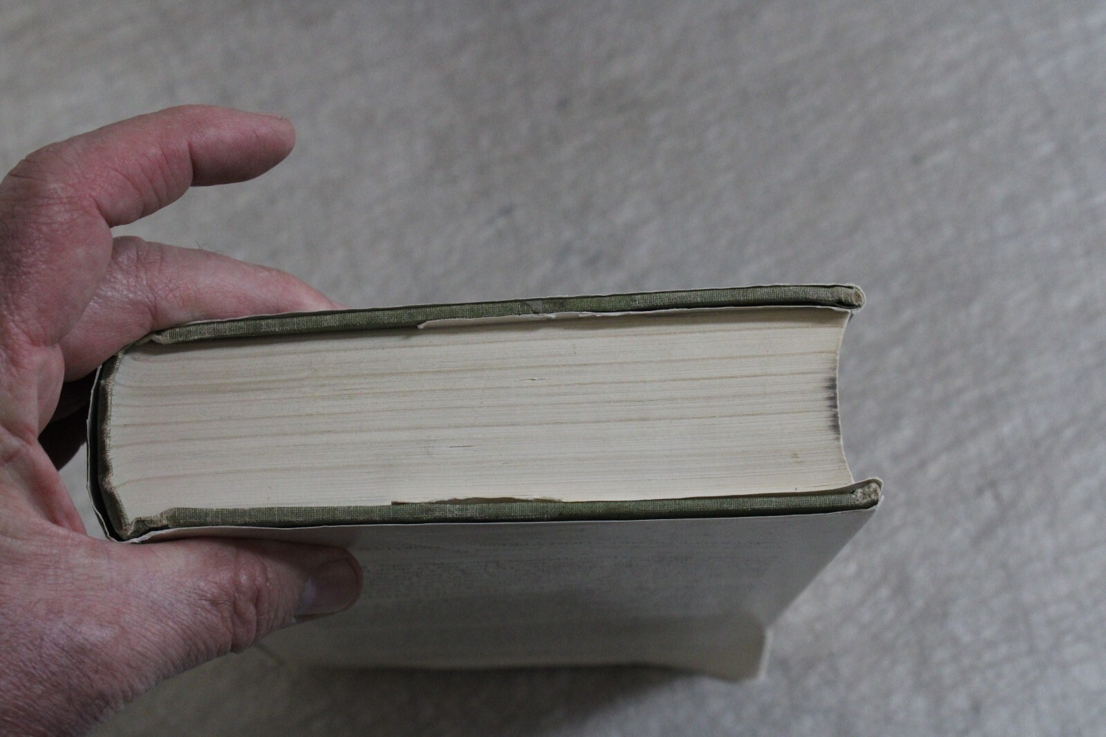 THE WILD TURKEY ITS HISTORY AND DOMESTICATION By A W Schorger - Hardcover