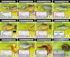 Cormoran Profiline Haken Aal Zander Wurm Allround Forelle Mais Karpfen Weißfisch