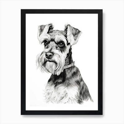 Miniatur Schnauzer Hund, Linienzeichnung gerahmtes Wandbild Poster Leinwanddruck Bild