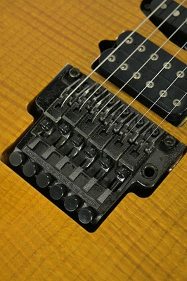 Ibanez / J.Custom Rg1680 Amber | eBay