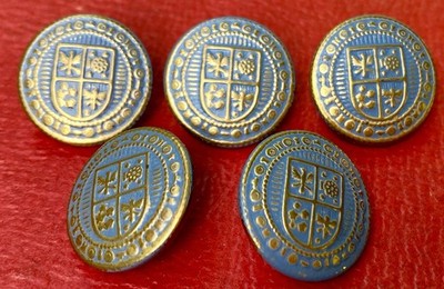 Set of 5 Vintage 60s  Sky Blue Enamel Buttons - Mod Gold Heraldic Shield Set