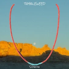 Native American “Dainty” Coral & Kingman Turquoise Necklace