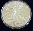 2012 American Eagle Walking Liberty 1 OZ .999 Fine Silver Dollar Coin