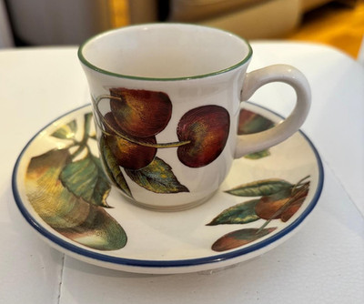 Staffordshire Geschirr Autumn Fayre - Teetasse und Untertasse