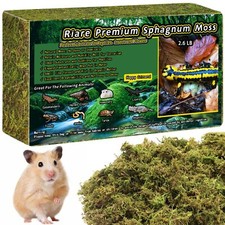 2.6LB Premium Sphagnum Moss for Reptiles- 100QT Natural Live Moss Reptile Mos...