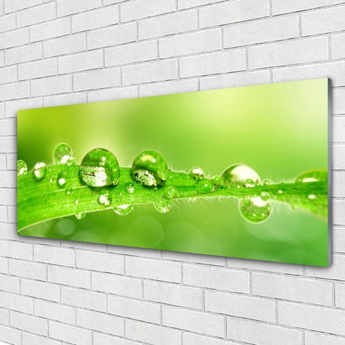 AnnonceTableau Mural Verre - Large Gamme de Produits