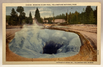 Morning Glory Pool, Yellowstone National Park, Vintage Haynes Postcard