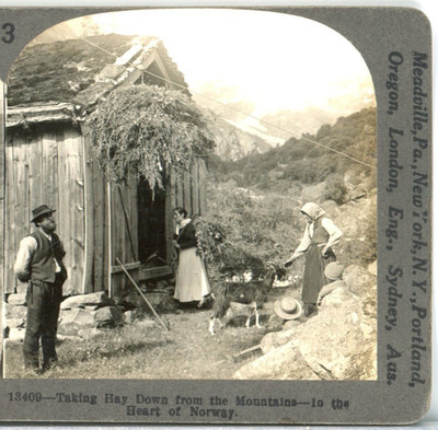 NORWAY, Taking Hay Down From The Mountains--Keystone Stereoview R47
