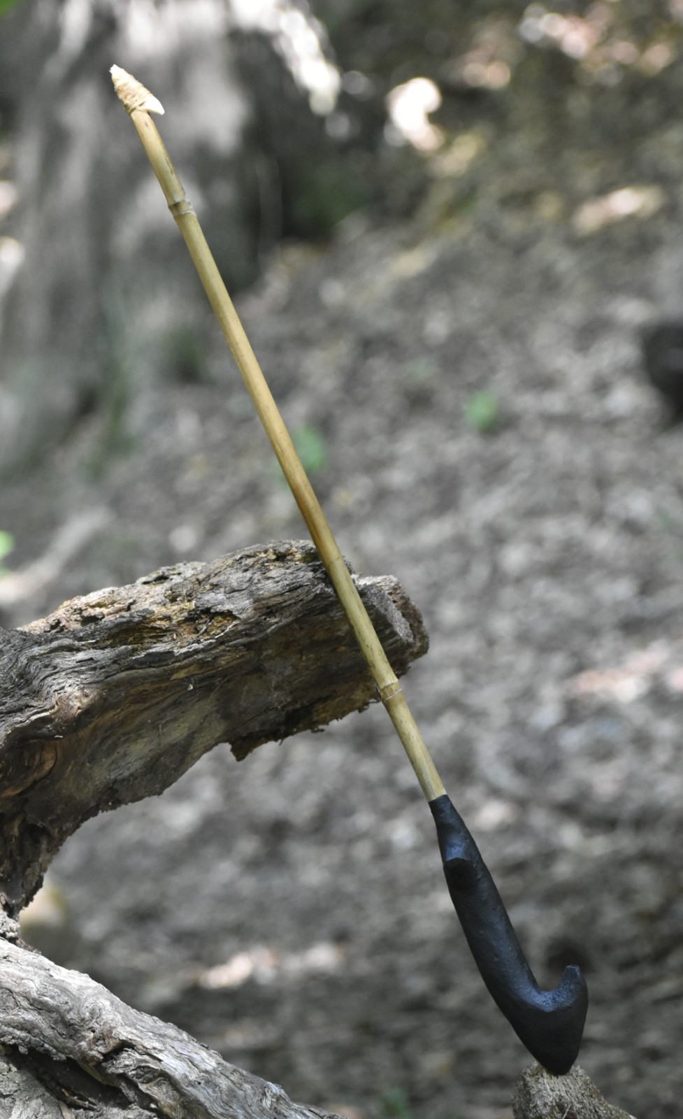 ATLATL AND TAKE DOWN DART SET spear and thrower for modern sport