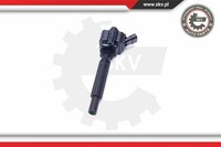 Esen SKV ZüNdspule ZüNdmodul Passend FüR Dodge Dart 03SKV281