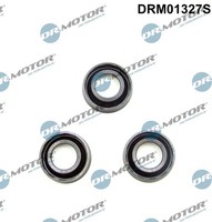 1X Dr.Motor Automotive DRM01327S Dichtung DüSenhalter FüR Vw Audi Skoda Seat