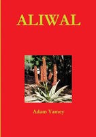 Adam Yamey | Aliwal | Taschenbuch | Englisch (2010) | Kartoniert / Broschiert