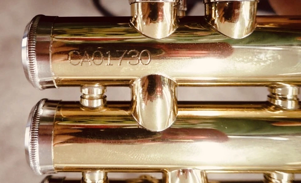 Trompeta musical Jean Paul USA TR23690 con estuche Foto 2 de 4