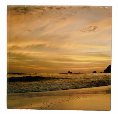 Costa Rica Ceramic Tile Trivet Travel Souvenir 4'' x 4''